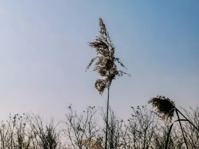 비트4윈 카지노 모바일 앱